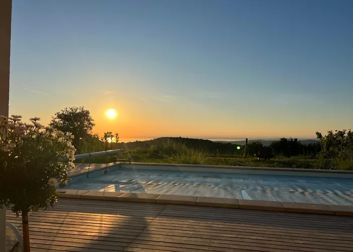 The View * 马来济格