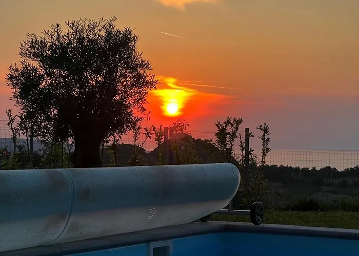 The View 马来济格